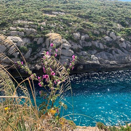 Private Bedroom With Balcony In A Shared Apartment At The Bay Of Xlendi Luaran gambar