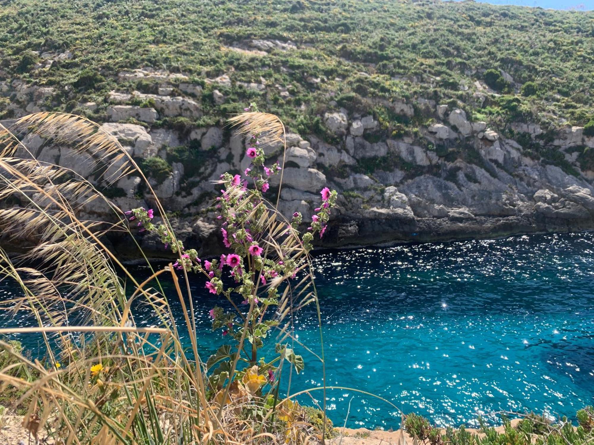 Private Bedroom With Balcony In A Shared Apartment At The Bay Of Xlendi Luaran gambar